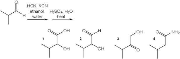 <strong>What is the major organic product obtained from the following reaction? </strong> A) 1 B) 2 C) 3 D) 4