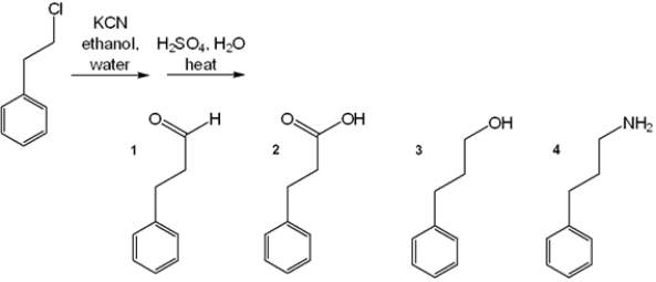 <strong>What is the major organic product obtained from the following reaction? </strong> A) 1 B) 2 C) 3 D) 4