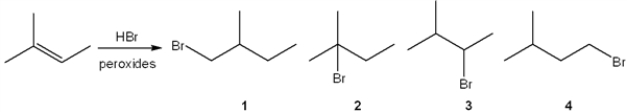 What is the major organic product obtained from the following reaction?