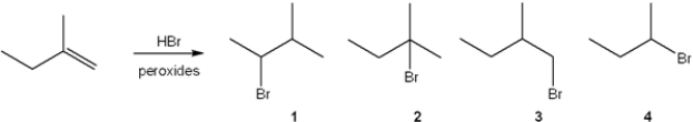 What is the major organic product obtained from the following reaction?