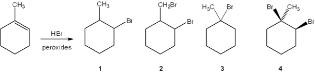 What is the major organic product obtained from the following reaction?