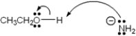 <strong>Which of the following terms describes the role of ethanol in the acid-base reaction shown? </strong> A) Brønsted-Lowry acid B) Brønsted-Lowry base C) Lewis acid D) Lewis base