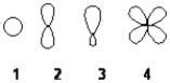 <strong>Which of the following best represents the shape of the 2s atomic orbital of carbon? </strong> A) 1 B) 2 C) 3 D) 4