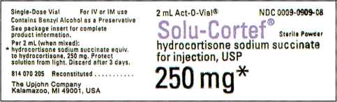 Ordered: Solu-Cortef 0.2 g IM stat, an antiinflammatory steroid, for a patient with severe inflammatory response.   a. Estimated dose: b. How many mL will you prepare?<div style=padding-top: 35px> 