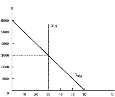 <strong>Figure 6.3 represents the Iraqi computer market. Assume Iraq purchases all of its computers from the United States. Figure 6.3 Iraqi Computer Market and Economic Sanctions -Consider Figure 6.3.With free trade, Iraq purchases ______________ computers at a price of $______________ and realizes $______________ of consumer surplus from the availability of computers.</strong> A) 30, $3,000, $25,000 B) 30, $3,000, $35,000 C) 30, $3,000, $45,000 D) 30, $3,000, $55,000