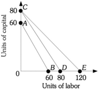 Refer to the information provided in Figure 7.8 below to answer the question(s) that follow. Figure 7.8 -Refer to Figure 7.8. If the price of capital is $25, then along isocost line AB total cost is