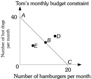 Refer to the information provided in Figure 6.1 below to answer the question(s) that follow. Figure 6.1 -Refer to Figure 6.1. Assume Tom's budget constraint is AC. At which point does Tom consume only hamburgers?