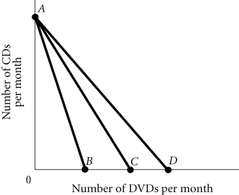 Refer to the information provided in Figure 6.3 below to answer the question(s) that follow. Figure 6.3 -Refer to Figure 6.3. Molly's budget constraint is AB. It would swivel to AD if the price of