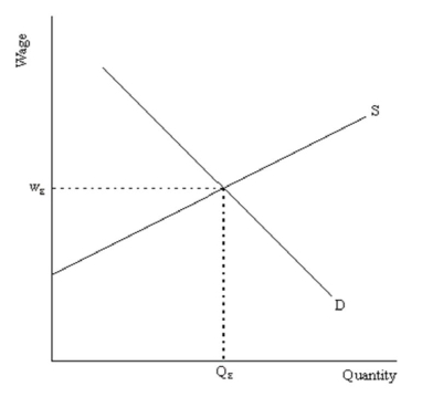Consider the following labor supply and demand diagram: For each of the following situations,explain (and illustrate)what would happen to the market for labor. (a)The firms who are employing these workers experience a big increase in the demand for their products. (b)Intel develops a new computer chip that is capable of doing the same work as two employees.Assume that workers and computers are substitutes in Intel's production function. (c)A newly elected U.S.president issues an executive order,restricting all immigration into the U.S.