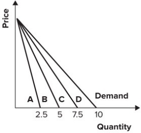 <strong>Refer to the following graph. If the demand curve is curve D for a monopoly, the marginal revenue curve is:</strong> A)A, which intersects the x-axis at 1/4 the quantity where the demand curve intersects the x-axis. B)B, which intersects the x-axis at 1/2 the quantity where the demand curve intersects the x-axis. C)C, which intersects the x-axis at 3/4 the quantity where the demand curve intersects the x-axis. D)D, which intersects the x-axis at the same quantity where the demand curve intersects the x-axis.