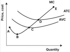 <strong>Refer to the graph shown. The supply curve for the perfectly competitive firm is best represented by the segment: </strong> A)AB. B)BD. C)CE. D)DE.