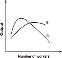Refer to the following graph. The marginal product and average product curves:
