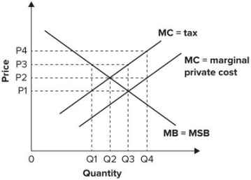 <strong>Refer to the following graph. Assuming a marginal cost external to the trade equals the tax shown in the graph, the market price necessary to induce consumers to purchase the efficient quantity each year is:</strong> A)P<sub>1</sub>. B)P<sub>2</sub>. C)P<sub>3</sub>. D)P<sub>4</sub>.