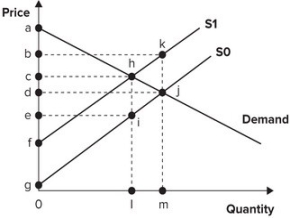 <strong>Refer to the graph shown. Assume the market is initially in equilibrium at point j in the graph but the imposition of a per-unit tax on this product shifts the supply curve up from S<sub>0</sub> to S<sub>1</sub>. The lost producer surplus of this tax is equal to the area: </strong> A)cdjh. B)deij. C)hji. D)khj.