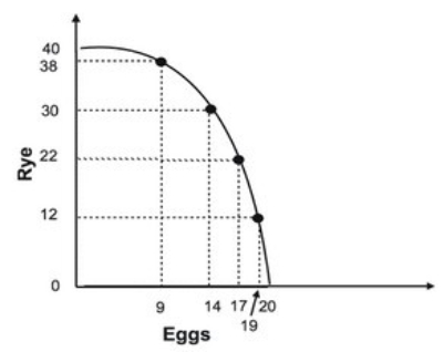 <strong>The graph below indicates that the economy can produce both: </strong> A)20 units of eggs and 5 units of rye, although this would not be efficient. B)10 units of eggs and 20 units of rye, although this would not be efficient. C)20 units of eggs and 5 units of rye, and this would be efficient. D)10 units of eggs and 20 units of rye, and this would be efficient.