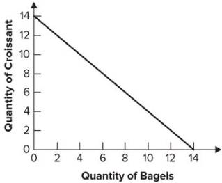 Refer to the following graph. If the price of bagels falls, the budget constraint in the graph will rotate: