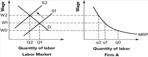 Refer to the graph shown. Which curve represents the firm's derived demand for labor curve?