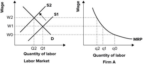 Refer to the graphs shown. If labor supply shifts from S<sub>1</sub> to S<sub>2</sub>, the market wage rate will: