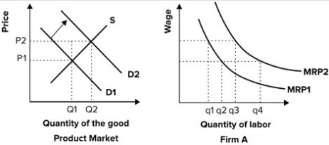 Refer to the graphs shown. If product demand increases from D<sub>1</sub> to D<sub>2</sub>, causing the product price to increase, the MRP curve of firm A (a supplier of this product) will: