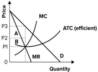 Refer to the following graph. A lazy monopolist is best described by earning area A and B in profits.