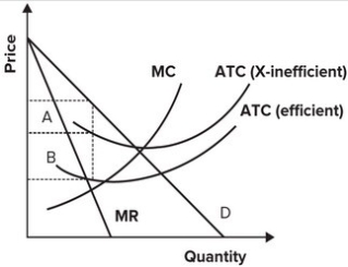 <strong>Refer to the following graph. The additional profit that might be achieved by monitoring a lazy monopolist with ATC (X-inefficient) is equal to the area of rectangle:</strong> A) A minus the cost of monitoring. B) B minus the cost of monitoring. C) A plus rectangle B minus the cost of monitoring. D) A minus rectangle B minus the cost of monitoring.
