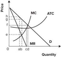 <strong>Refer to the graph shown. The firm's profit-maximizing price is: </strong> A) e. B) f. C) g. D) h.
