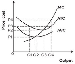 <strong>Refer to the graph shown. What price represents the shutdown price? </strong> A) P<sub>1</sub> B) P<sub>2</sub> C) P<sub>3</sub> D) P<sub>4</sub> <sub