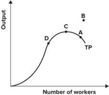 <strong>Refer to the graph shown. Marginal product is negative at point:</strong> A) A. B) B. C) C. D) D.