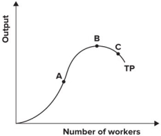 <strong>Refer to the graph shown which shows total product. At point B: </strong> A) marginal product is at its minimum. B) marginal product is at its maximum. C) marginal product is zero. D) average product is at its maximum.