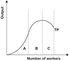 <strong>Refer to the graph shown. Within which section(s) of the production function is marginal product increasing? </strong> A) A B) B C) C D) A and B