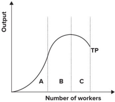 <strong>Refer to the graph shown. Within which section(s) of the production function is marginal product decreasing? </strong> A) A B) B C) A and B D) B and C