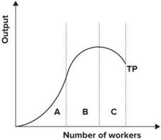 <strong>Refer to the graph shown. Within which part of the production function is the firm most likely to operate? </strong> A) A B) B C) C D) B and C