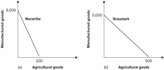 <strong>Refer to the graph shown. We can conclude from the diagram that:</strong> A) Graustark has a comparative advantage in both goods. B) Norstrilia has a comparative advantage in both goods. C) Norstrilia has a comparative advantage in manufacturing and Graustark has a comparative advantage in agriculture. D) Norstrilia has a comparative advantage in agriculture and Graustark has a comparative advantage in manufacturing.