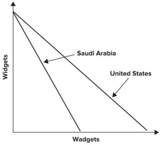 <strong>Refer to the graph shown. The graph demonstrates Saudi Arabia's and the United States' production possibility curves for widgets and wadgets. Given these production possibility curves, you would suggest that:</strong> A) Saudi Arabia specialize in widgets and the United States in wadgets. B) No trade should take place. C) Saudi Arabia specialize in wadgets and the United States in widgets. D) Both countries should produce an equal amount of each.