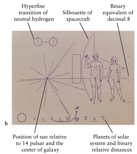 <strong>Pioneer 10 and 11 carried plaques intended to show any alien civilization that found them the location of the solar system in the Galaxy. The location was marked relative to various pulsars (as seen in Figure 20-10b in the text). Which one of these is the BEST reason to choose pulsars for this purpose? </strong> A) Pulsars can be detected a long way across the Galaxy and thus presumably would be known to the aliens. B) Pulsars can be identified uniquely by the frequencies of the radiation they emit. C) Pulsar pulse rates are constant, never changing. D) Pulsars form a more-or-less uniform ring around the galactic center (like the globular cluster halo) and thus provide a good coordinate system.