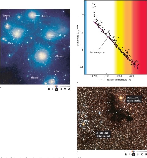 <strong>The distinct blue color of the nebulosity around stars in young clusters such as the Pleiades (see Figure 13-4 in the text) is caused by </strong> A) atoms of gas emitting light by fluorescence, having been excited by ultraviolet radiation from hot stars. B) light emitted by interstellar gases but Doppler-shifted by motion toward the observer. C) starlight reflected by blue-colored interstellar material. D) starlight scattered and reflected by small dust grains in the interstellar material.