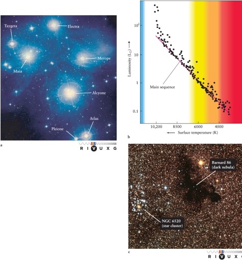 <strong>In photographs, the Pleiades open star cluster is surrounded by a bluish haze (see Figure 13-4 in the text). What causes this blue light? </strong> A) starlight scattered from interstellar dust in the star cluster B) starlight scattered by the light-sensitive grains in the photographic plate when the picture was taken C) shock waves losing energy to interstellar gas in the star cluster, causing the atoms to emit light D) starlight absorbed and reemitted by interstellar gas in the star cluster