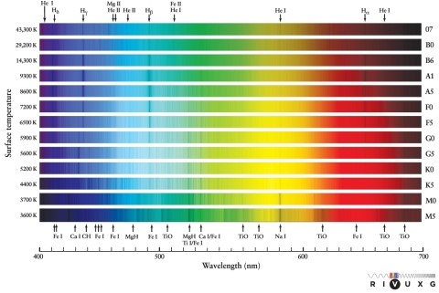 Which of these molecules produces the strong absorption bands in the spectrum of a cool M-type star, as can be seen in Figure 12-5 in the text?