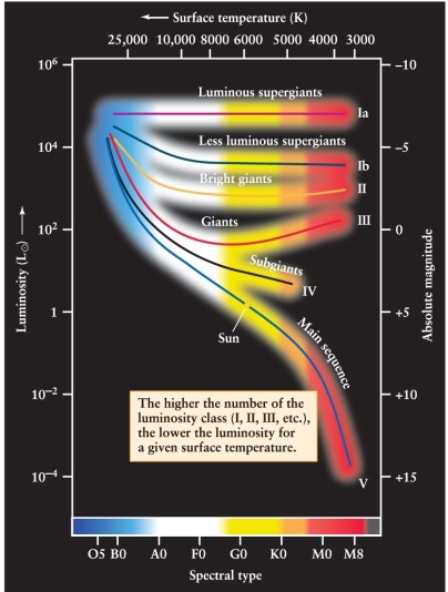 A star with a surface temperature of 4000 K and a luminosity of about 10<sup>-2</sup> times that of the Sun is a member of which luminosity class? See Figure 12-10 from the text.
