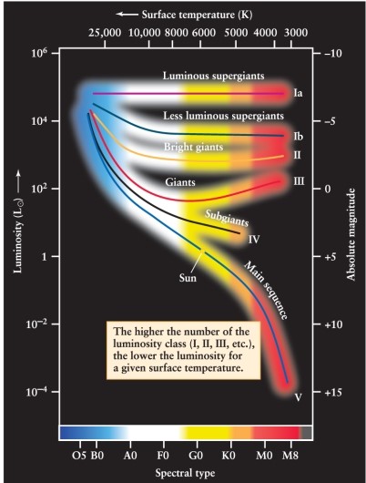 A particular star has an absolute magnitude of 0 and a spectral class similar to that of the Sun. Using Figure 12-10 in the text, how would this star be classified?