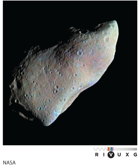 <strong>The asteroid Gaspra (see Figure 6-4) is typical of MOST asteroids in that it is  </strong> A) potato-shaped with a smooth, metallic surface. B) spherical and densely covered with craters. C) potato-shaped with large and small craters. D) spherical and deformed by thermal activity. <div style=padding-top: 35px> 