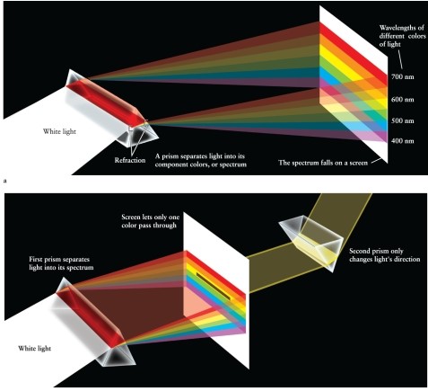 <strong>When visible light passes through a prism of glass, as shown in Figure 3-1, which wavelengths of light are deflected MOST by the glass? </strong> A) longer wavelengths B) intermediate wavelengths, the green color C) All wavelengths are deviated by the same amount. D) shorter wavelengths