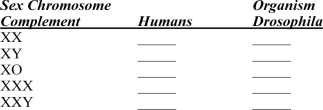 Give the sex of the following organisms assuming that the autosomes are present in the normal number.