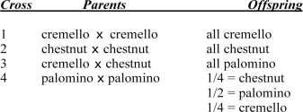 The following coat colors are known to be determined by alleles at one locus in horses: palomino = golden coat with lighter mane and tail cremello = almost white chestnut = brown The following table gives ratios obtained in matings of the above varieties:   a) Assign gene symbols for the genetic control of coat color on the basis of these data. b) Diagram the last two matings.<div style=padding-top: 35px> 