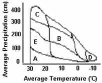 <strong>Use the following graph to answer the questions. Temperate forest biomes would fall in the area marked by the letter</strong> A)A B)B C)C D)D E)E