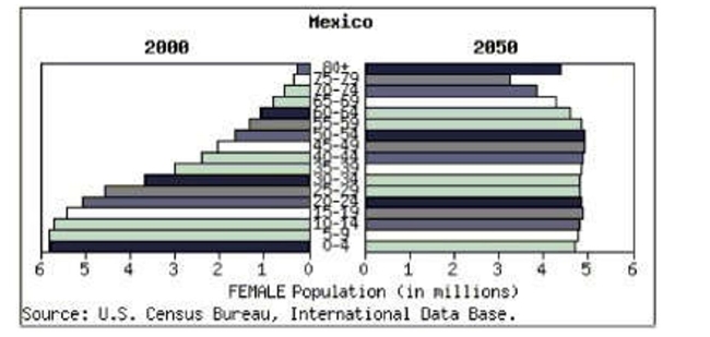 <strong>At www.census.gov you can create a population pyramid for any country.These pyramids are back-to-back histograms.This pyramid shows Mexico's 2000 female population and the Census bureau's projection for 2050.Check all that apply. </strong> A)The distribution of ages in 2000 is strongly skewed to the left. B)The distribution of ages in 2000 is strongly skewed to the right. C)The distribution of projected ages in 2050 is strongly skewed to the left. D)The distribution of projected ages in 2050 is strongly skewed to the right. E)The distribution of projected ages in 2050 is approximately uniform.