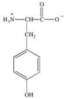<strong>How is the following amino acid categorized? The structure shows its form at pH = 7. </strong> A)hydrophobic B)polar, acidic C)polar, basic D)polar, neutral E)None of the choices are correct.