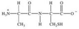 <strong>Which of the following properly represents the dipeptide with the primary structure Ala-Cys?</strong> A) B) C) D) E)