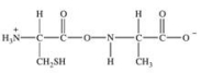 <strong>Which of the following properly represents the dipeptide with the primary structure Ala-Cys?</strong> A) B) C) D) E)