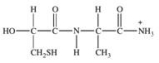 <strong>Which of the following properly represents the dipeptide with the primary structure Ala-Cys?</strong> A) B) C) D) E)